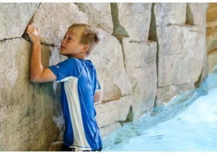 Soaring Eagle Waterpark And Hotel Mount Pleasant Exterior photo